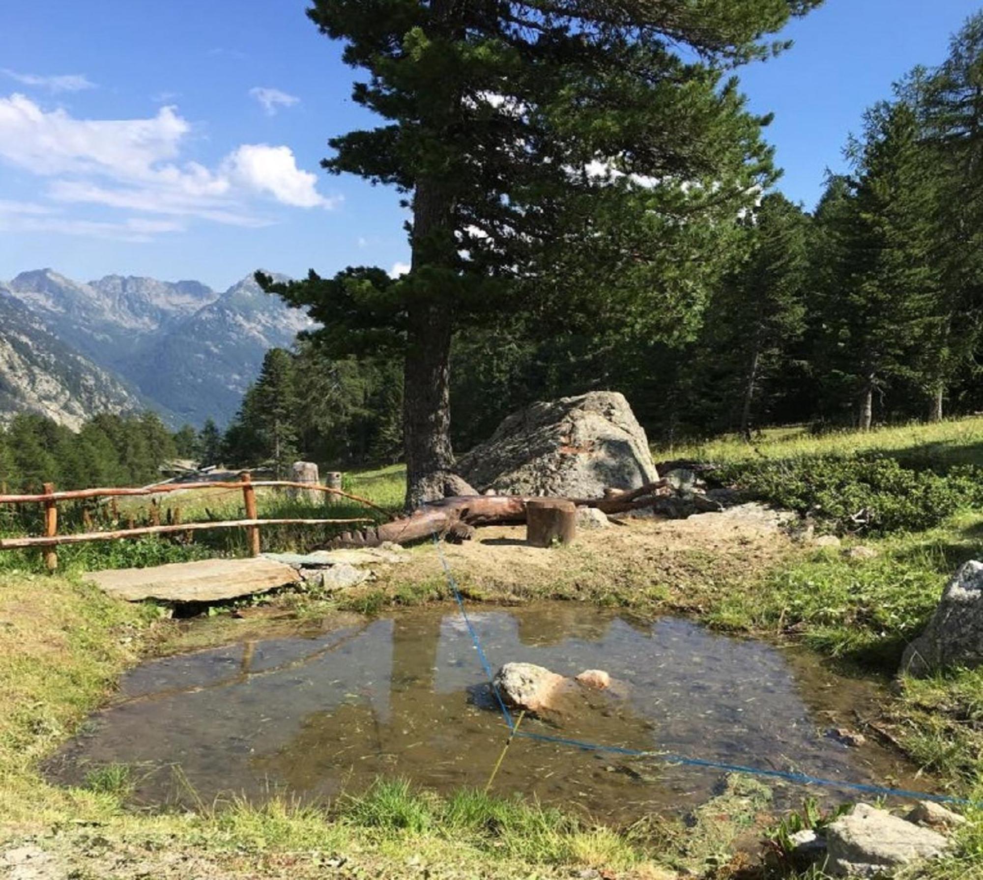 Baite Cialvrina Villa Gressoney-Saint-Jean Buitenkant foto