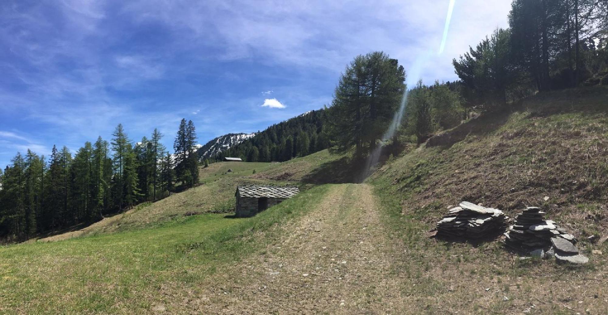 Baite Cialvrina Villa Gressoney-Saint-Jean Buitenkant foto