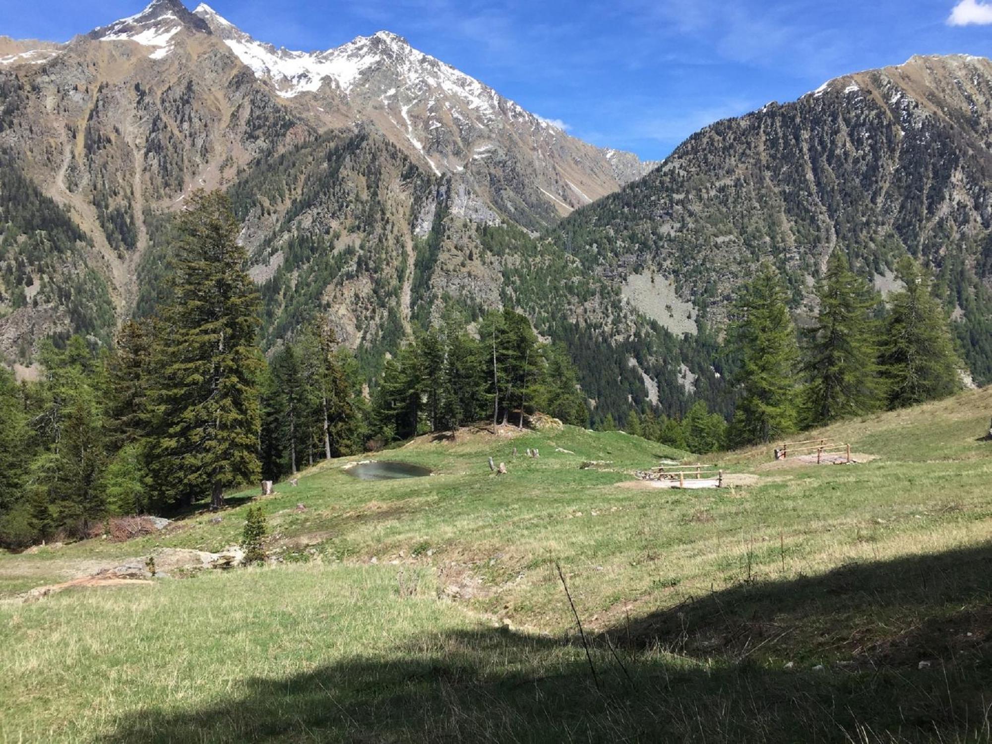 Baite Cialvrina Villa Gressoney-Saint-Jean Buitenkant foto