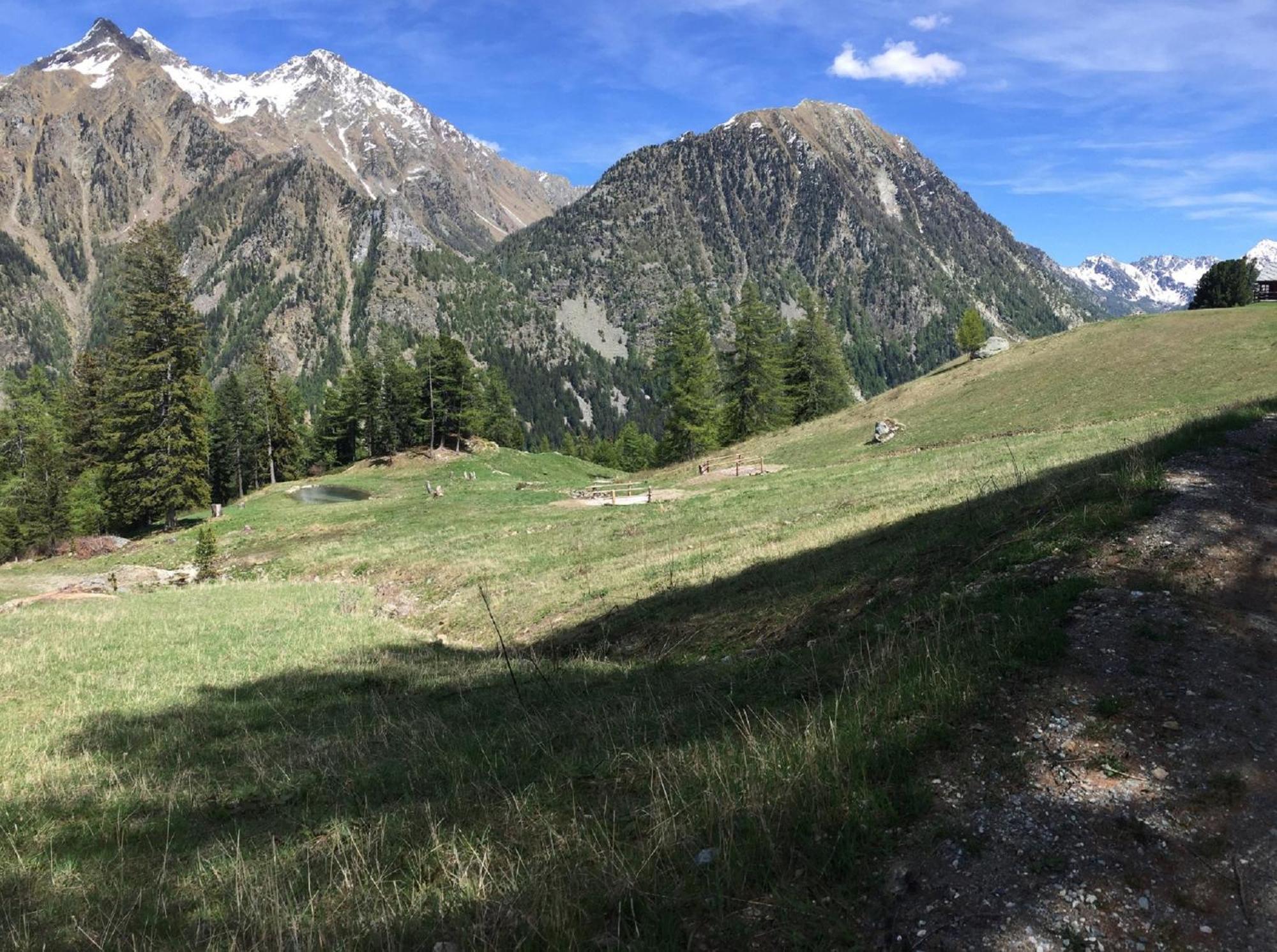 Baite Cialvrina Villa Gressoney-Saint-Jean Buitenkant foto