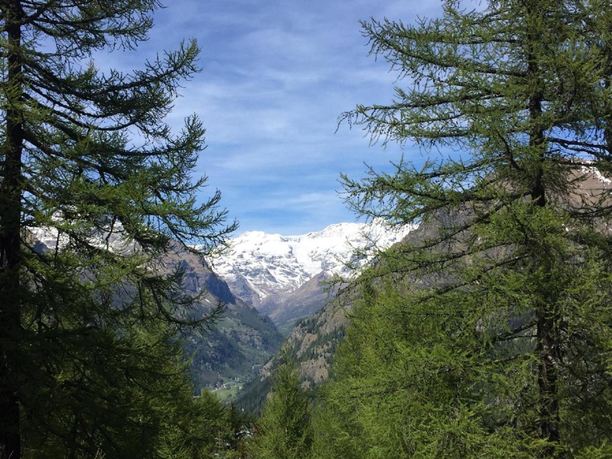 Baite Cialvrina Villa Gressoney-Saint-Jean Buitenkant foto