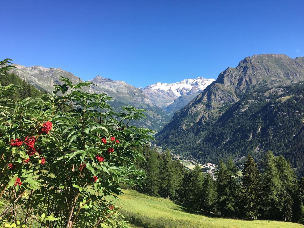 Baite Cialvrina Villa Gressoney-Saint-Jean Buitenkant foto